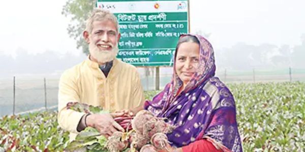 গাইবান্ধায় বিটরুট চাষে সম্ভাবনার দুয়ার খুলেছে কৃষক দম্পতি